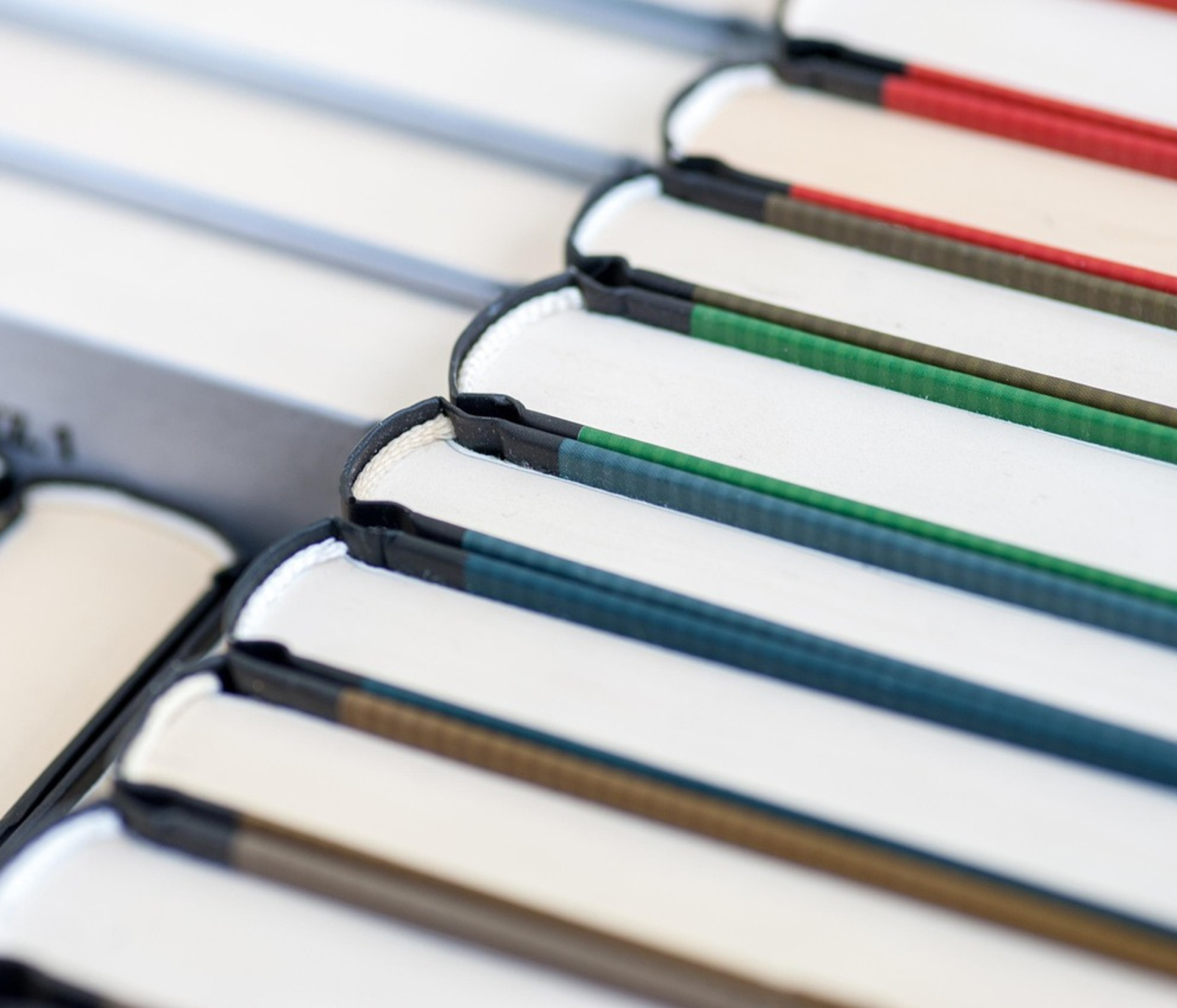 Untitled design(14) Untitled design(14)